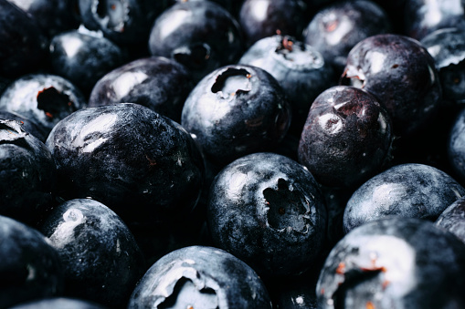 Close up many ripe wet blueberries.