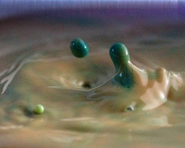 Impact of drops on a flat surface
