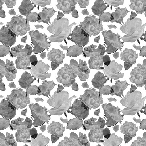 bezszwowy monochromatyczny wzór róż, liści, płatków róż. szara ilustracja na białym tle. projekt botaniczny dla tekstyliów, opakowań, tkanin. romantyczny wystrój na walentynki - invitation tea flower bouquet stock illustrations