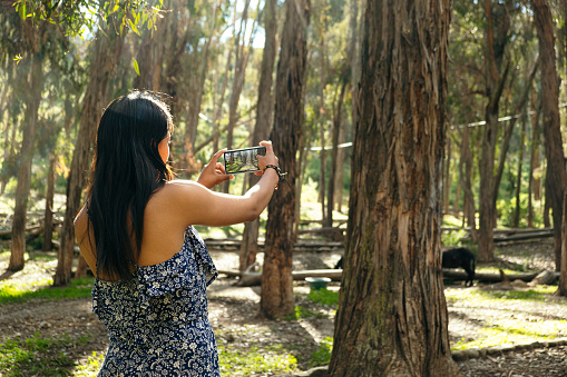 latin woman taking a picture of the forest in bolivia - nature concept