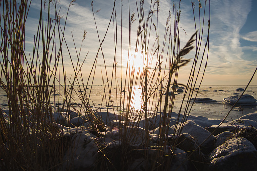 Coastal nature in winter, Baltic sea in ice at sunset. High quality photo
