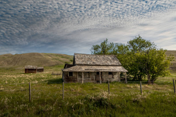 istock Rustic farm buildings in the area Carbon Alberta Canada 2018063803