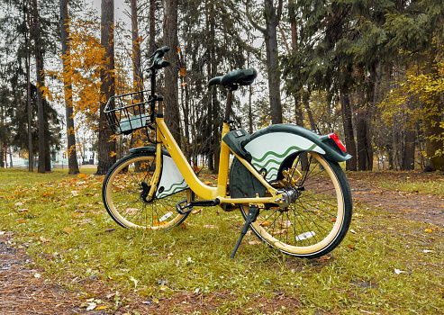 Rental bicycle, modern bike in nature at park, forest