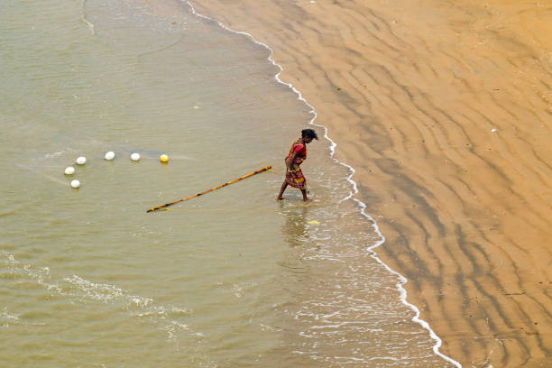19th may 2023 rural west bengal india : At Mandermoni fishermen are collecting min of shrimp fish from the sea.