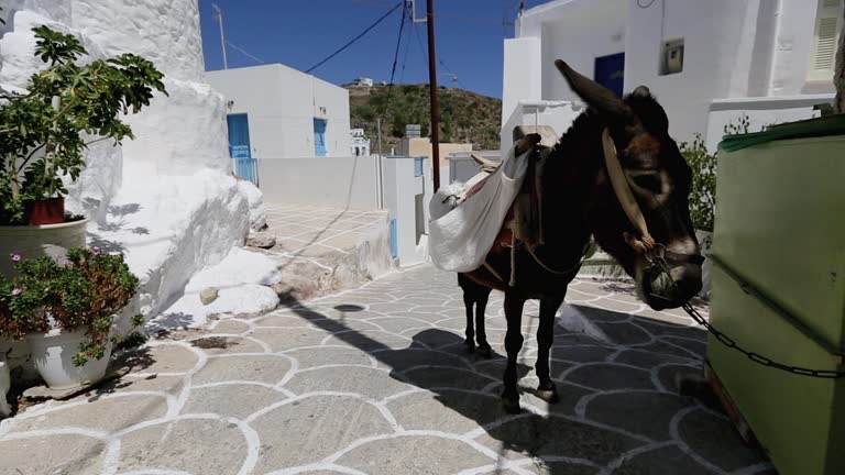 Summer vacation in Greece: Cyclades islands