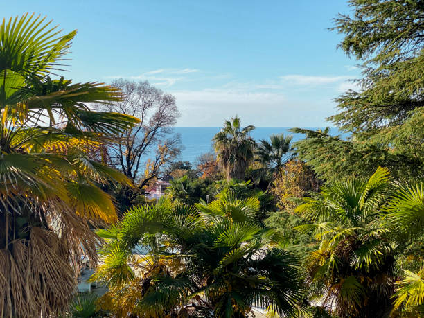 istock Tropical beach with palm trees at sunny day, 2018096415