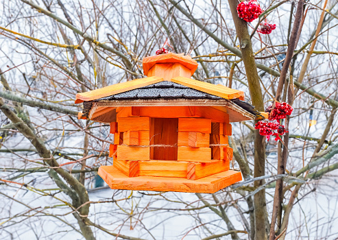 Wooden bird feeder with seeds on colored background. Bird feeder. There is a bird feeder on a tree. High quality photo