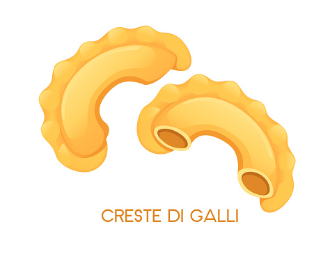 Uncooked italian pasta creste di galli cuisine staples vector illustration isolated on white background.