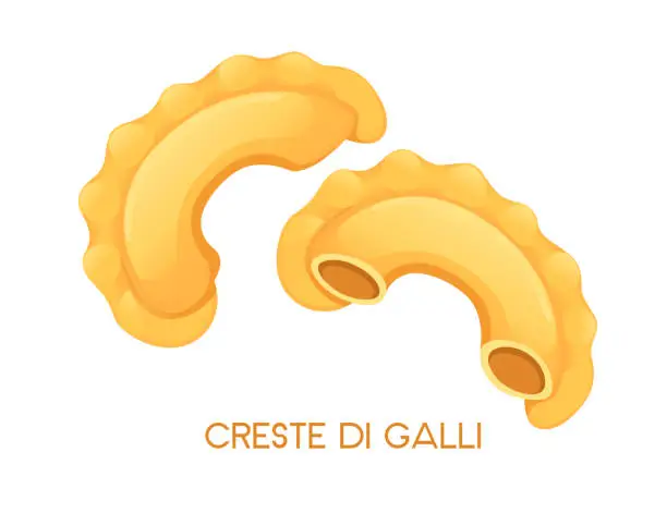 Vector illustration of Uncooked italian pasta creste di galli cuisine staples vector illustration isolated on white background