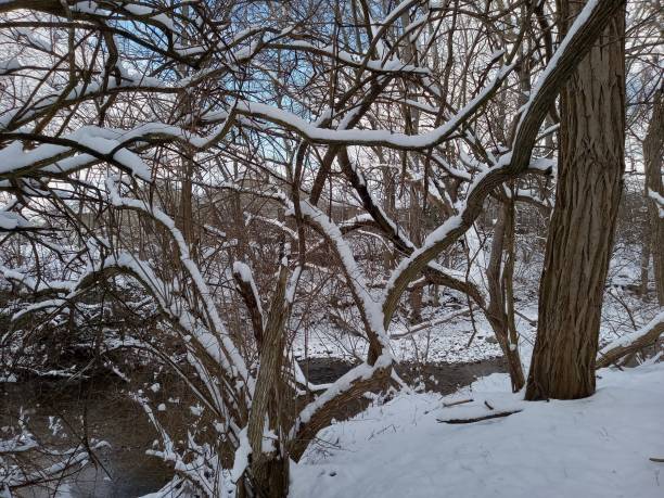 istock Snow by the creek 2018099750