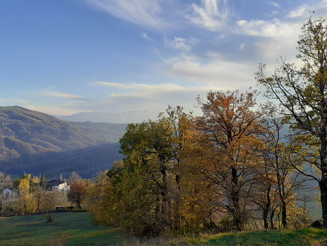 Autumn mountain landscape in the Apennines with yellow trees and green meadows with mountains in a foggy haze and blue sky