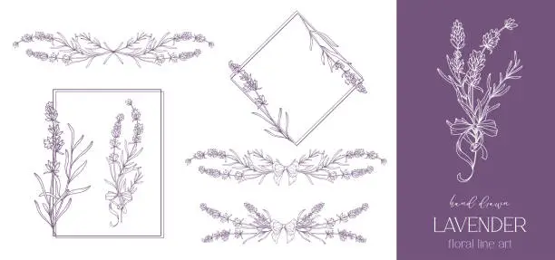 Vector illustration of Lavender Line Drawing. Black and white Floral Bouquets. Flower Coloring Page. Floral Line Art. Fine Line Lavender illustration. Hand Drawn flowers. Botanical Coloring. Wedding invitation flowers