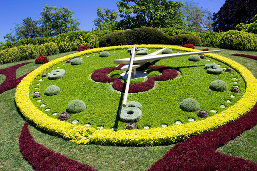 Clock in the spring sakura park.