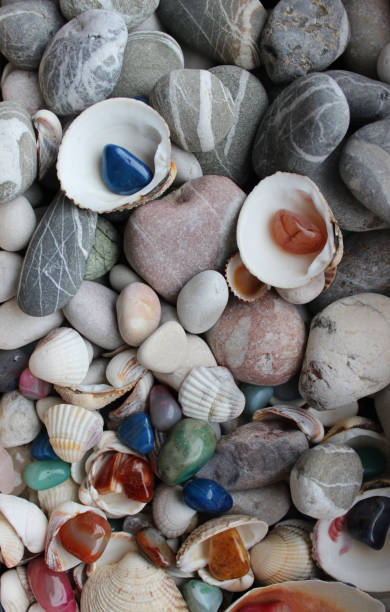 istock Decorative colored quartz stones mixed with pebbles and seashells photo for stones backgrounds 2018230034
