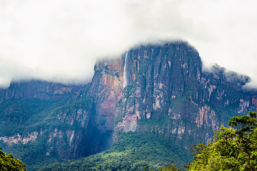 View of Angel falls from Carrao river in Canaima National Park. Venezuela