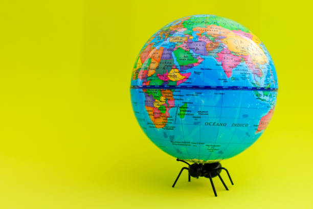 Ant with its strength charging the planet Earth (texts in Spanish)