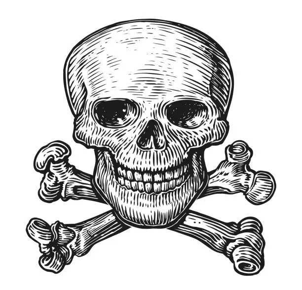 Vector illustration of Human skull with crossbones. Black and white, vector illustration isolated on white background