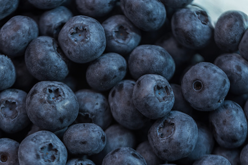 Juicy blueberries on a dark background, close-up