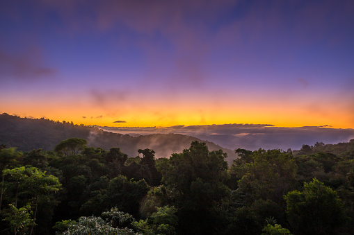 Sunset above Rainforest of Lamington National Park, Queensland, Australia.
