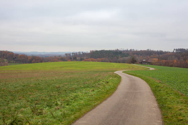 Blick