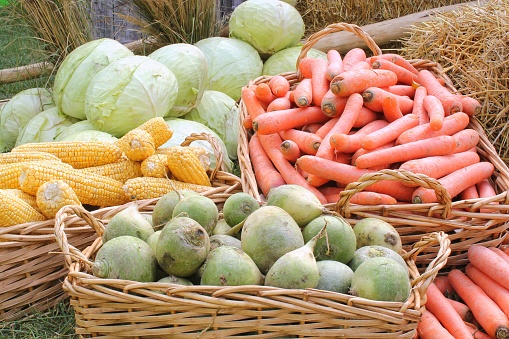 Fresh organic vegetables on farmer market. Local farm bazaar.\nAssortment of fresh organic harvest garden produce. Bio products, bio ecology. Natural healthy food festival. Agricultural rustic fair