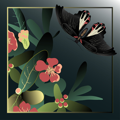 Hijab, shawl, scarf with a pattern of a swallowtail butterfly in the garden, close-up, black butterfly with red spots, tropical flowers on a dark gradient background, vector illustration.