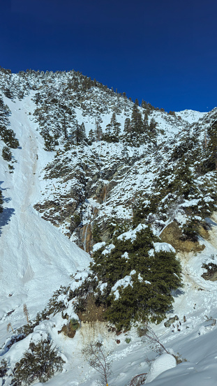 Mount Baldy, California