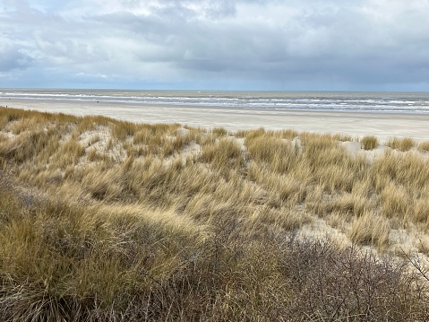 März 05, 2023, Juist: View of the coastal landscape of the East Frisian island of Juist in the North Sea