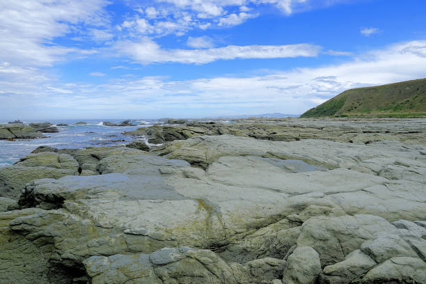 Küste Kaikoura / Kaikoura coast /