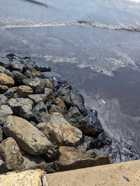istock Tobago Oil Spill 2024 2018526993