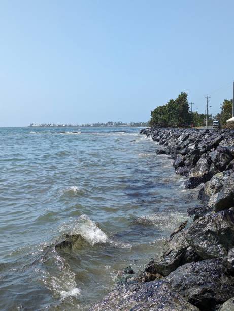 istock Tobago Oil Spill 2024 2018528556