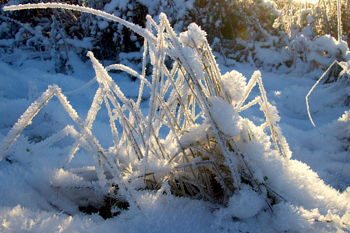 Snow view in the fenced garden on a sunny winter day