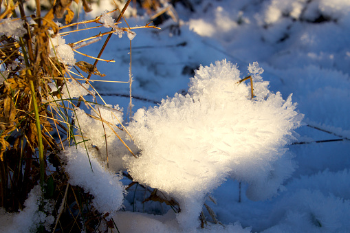 Ice crystals on grass in the meadow in sunshine