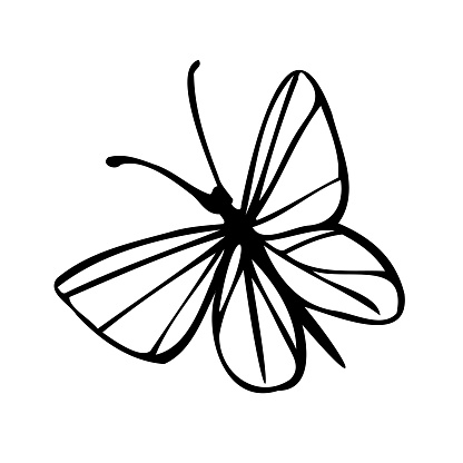Hand Drawn Ink Doodle Of A Butterfly On A Transparent Background (there are no fills at all, just the black)