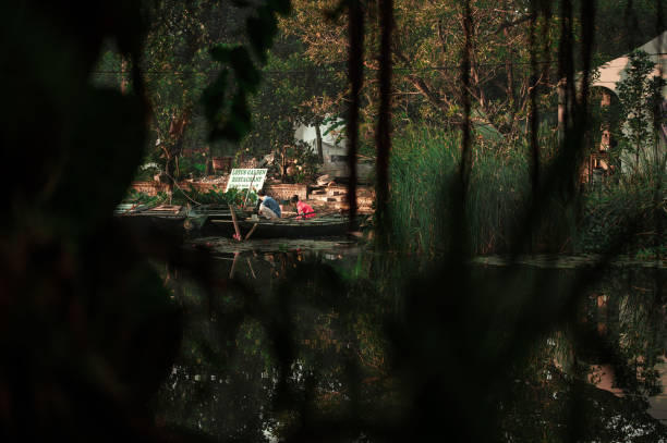 Glimpse at the idyllic Shing Mun reservoir Country Park, located in New Territories of Hong Kong. The paperbark trees lining the paths of the reservoir.
