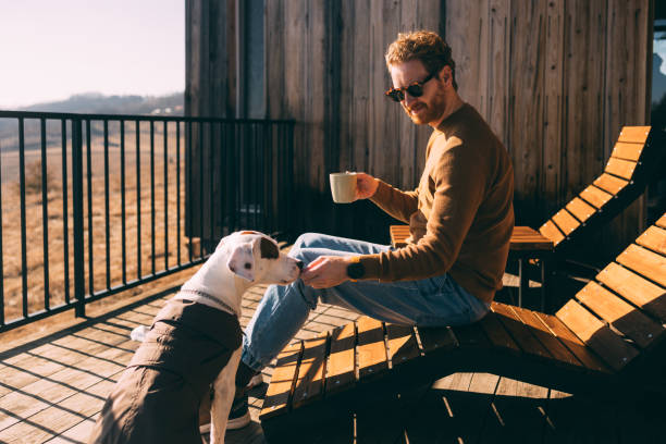 istock Man Relaxing with Dog on Sunny House Deck 2018595089