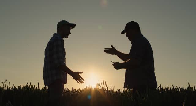 Two successful energetic farmers shake hands, stand in a wheat field. Successful deal concept