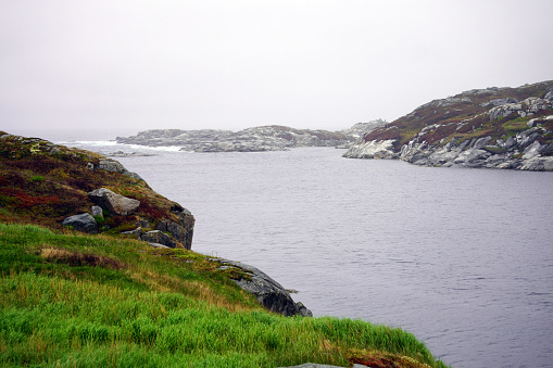Narrow bay with steep rocky shore covered in grass and moss with waves breaking in the distance on Newfoundland's southern coast