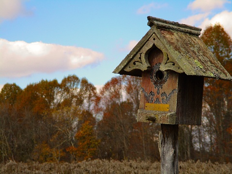 Late Autumn day with an old birdhouse in a grassland with a forested area behind it. Photographed in Pennsylvania during early November.