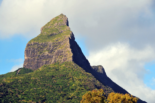 Tamarin, Rivière Noire (Black River) district, Mauritius: naked peak of the Montagne du Rempart / Rampart Mount (1,968 ft / 600 m), the Matterhorn's green cousin in the Southern hemisphere, besides climbing and hiking, the area is famous for deer hunting.
