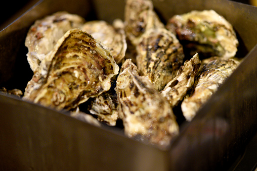 A large amount of raw oysters in the shell in a pot