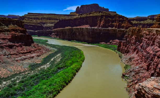 istock Colorado Riverbed, overgrown with green vegetation. 2018822691