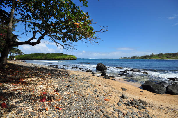 istock Jacotet bay with Sancho Islet on the right, Jacotet Bay, Mauritius 2018824304