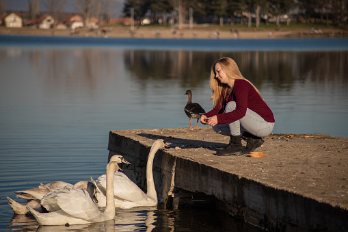 Little girl in white dress feeding ducks at the pond