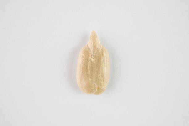 Photograph of raw peeled sunflower seeds without shells on bright yellow background. Top view.  Copy space. Sunflower seeds are high in protein, rich in healthy fats,  antioxidants, vitamin E.