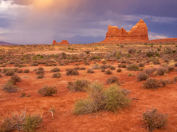 istock The desert like landscape in Arches National Park with dramatic clouds. 2018942708
