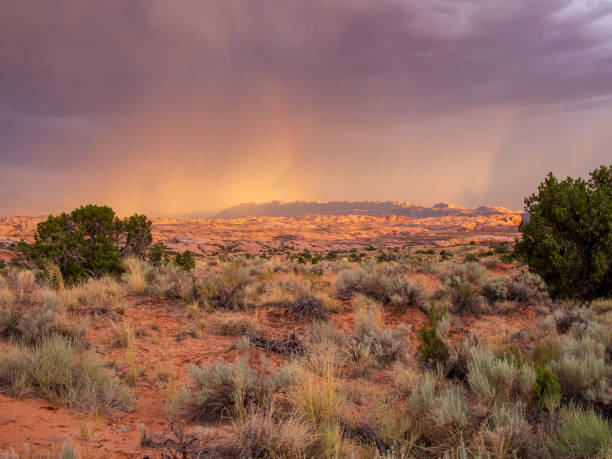 The desert like landscape in Arches National Park with dramatic clouds.