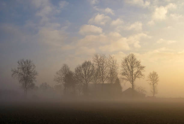 Misty landscape with trees and a farm near Heeten in the Dutch province Overijssel