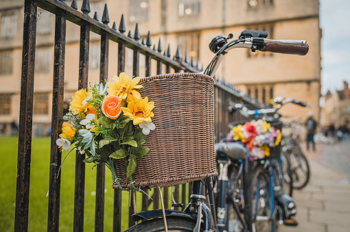 A pink bicycle with flowers in the panier is rested against a fence in a typical Oxford scene
