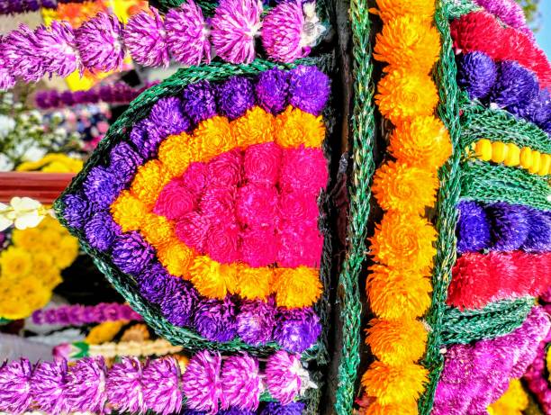 istock Amaranth blooms in many colors 2018981860